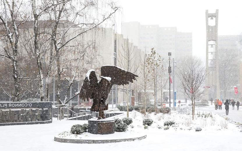 The Founders Garden in snow covered scene